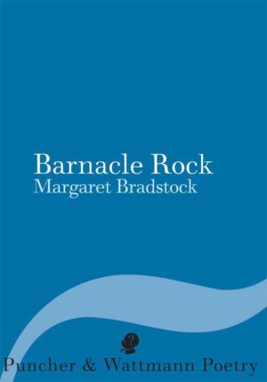 Barnacle Rock