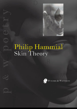 Skin Theory