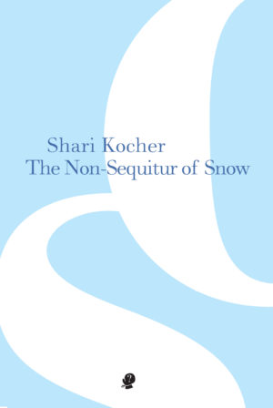 The Non-Sequitur of Snow