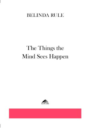The Things the Mind Sees Happen