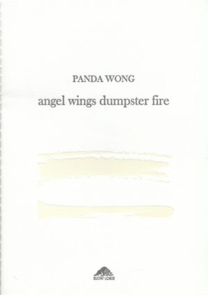 angel wings dumpster fire