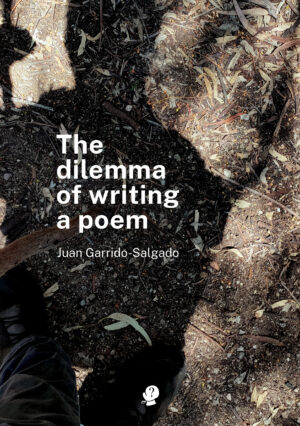 The Dilemma of Writing a Poem