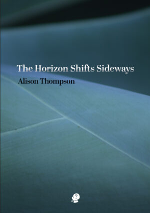 The Horizon Shifts Sideways